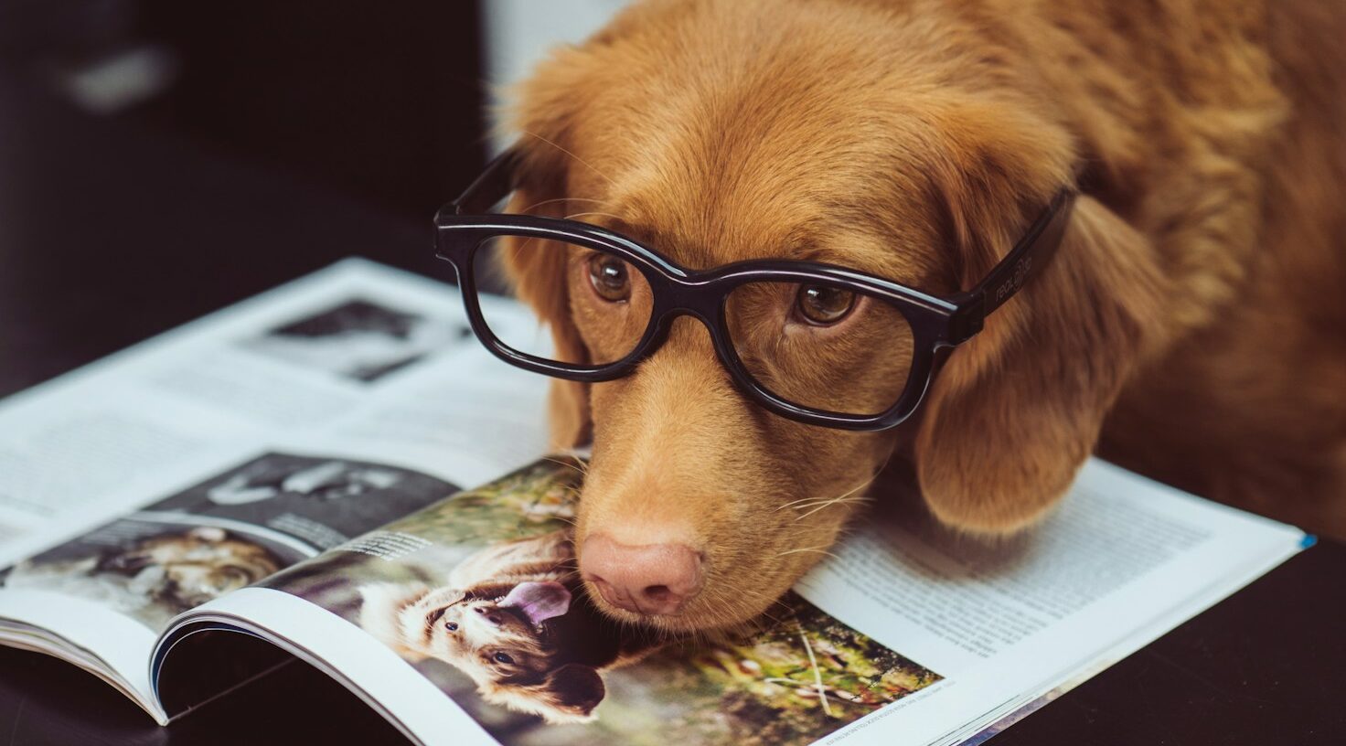 black framed eyeglasses